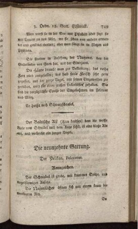 Die neunzehnte Gattung. Der Pelikan.