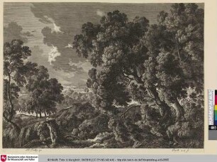 [Waldlandschaft mit zwei Personen im Hintergrund]