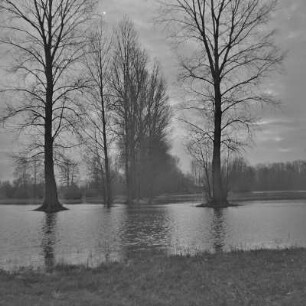 Landschaftsbild. Winter im Spreewald. Überflutete Wiesen und Felder bei Lübbenau. : Wobraz krajiny. Zyma w Błótach. Łuki a pola wokoło Lubnjowa su přepławjene.