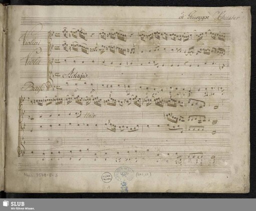 Salve regina