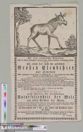 Großen Elendthier aus Siberien