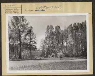 Landschaft bei Lehde im Spreewald. : Krajina wokoło Lědow w Błótach