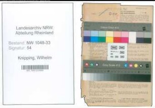 Entnazifizierung Wilhelm Knipping , geb. 09.07.1895 (Arzt)