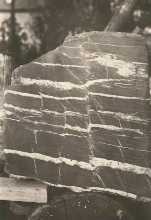 Quarzlagen im Grauwackenquarzit aus der Gegend von Falkenstein/V. Platte in Werkstatt (nach Prof. Pietzsch, Freiberg)