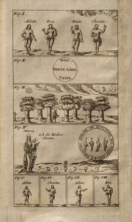 Drey Curieuse Chymische Tractätlein : betittelt: Ambrosii Müllers, Paradeis-Spiegel, Darin zu besehen die höchste Medicin, Gold und Menschen damit zu curiren. Der Teutschen Schützen-Hoff, So der allererste Philosophus Adam, unser aller Vater ausschreiben und ausruffen lassen, an alle Schütze[n] so Lust nach der Scheibe zu schiessen haben. Beschreibung Des grossen Geheimnisses des Steins der Weisen, Als der von Gott erbethenen und erhaltenen Weißheit des Königs Salomonis. Von einen Q. J, R. V. M. D.