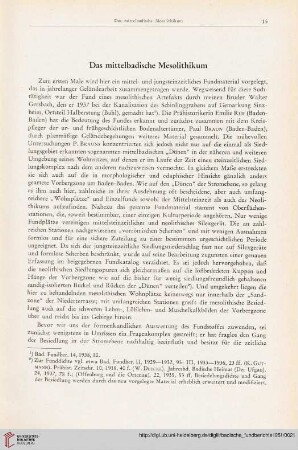Das mittelbadische Mesolithikum