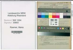 Entnazifizierung Maria Roemer , geb. 10.02.1909 (Pflegerin)