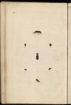 Pl. 231 [bis] Pl. 240 [Pl. siehe arabische Paginierung]