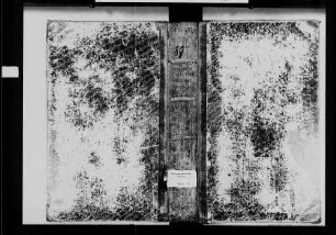 Neckarzimmern, evangelische Gemeinde: Geburtenbuch 1808-1867