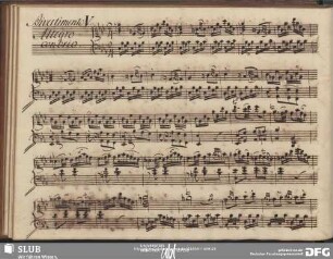 Allegro con brio