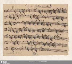 Aria con Violino piccolo. 1. [transp.]