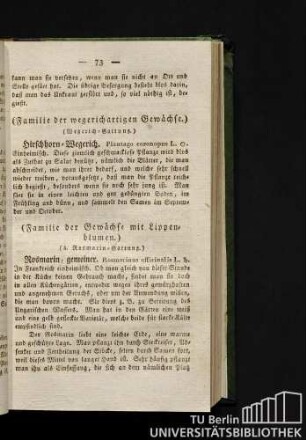 (A. Rosmarin-Gattung.)