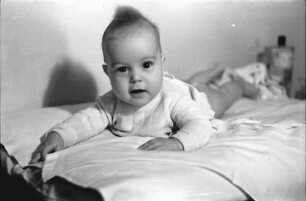 Bukarest: Baby Welkisch