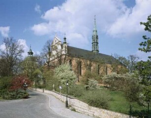 Katholische Kirche Mariä Geburt, Sandomir, Polen