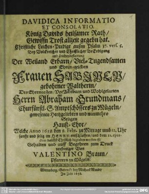 Davidica informatio et consolatio ...