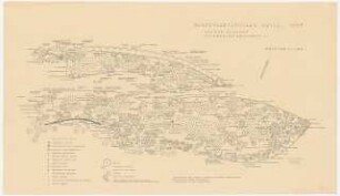 Bundesgartenschau 1955, Kassel: Pflanzplan für die Schöne Aussicht 1:100, Abschnitt 4