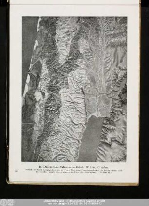 11. Das mittlere Palästina