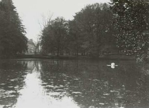 Schloßpark : Schwanenteich im Schloßpark