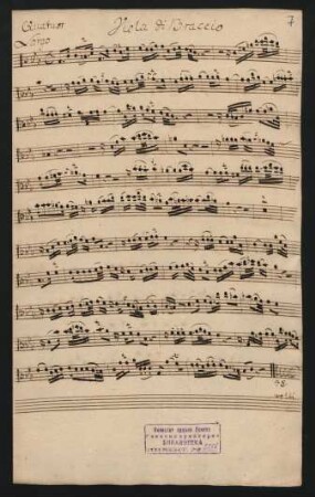 Viola di braccio