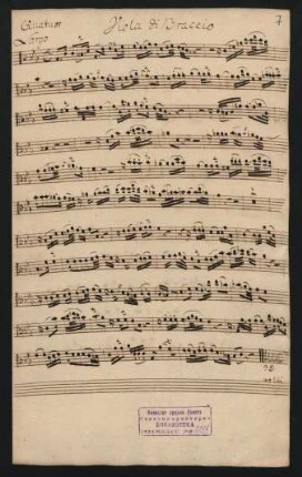 Viola di braccio