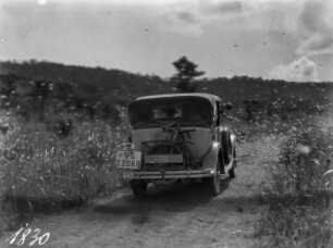 Ein Wagen : Ein Wagen fährt durch einen Heuschreckenschwarm