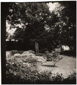 Garten Niemczyk, Potsdam-Nedlitz: Pflanzung am Haus, später (1936)