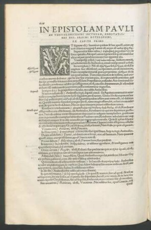 In Epistolam Pauli Ad Thessalonicenses Secundam, Annotationes Des. Erasmi Roterodami.