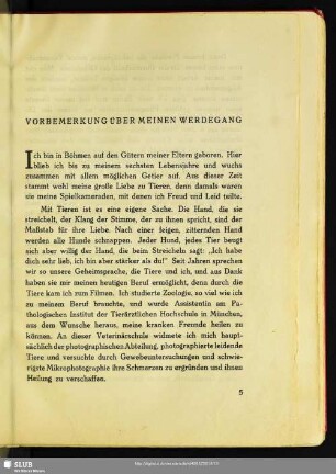Vorbemerkung Über Meinen Werdegang