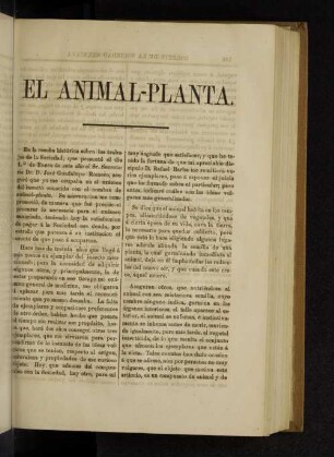 El animal -planta.
