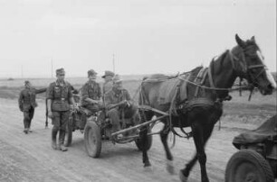 Zweiter Weltkrieg. Frontbilder. Sowjetunion. Angehörige der deutschen Wehrmacht mit Pferdefuhrwerken in einem Konvoi
