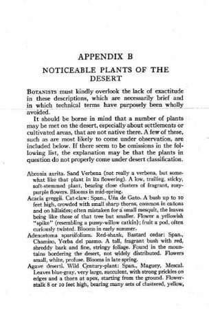 Appendix B. Noticeable Plants of the Desert