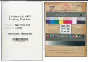 Entnazifizierung Margarete Steinrueck, geb. 13.10.1884 (Lehrer)