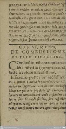 CAP. VI. & ultim. DE COMBUSTIONE ET PETRIFICATIONE.