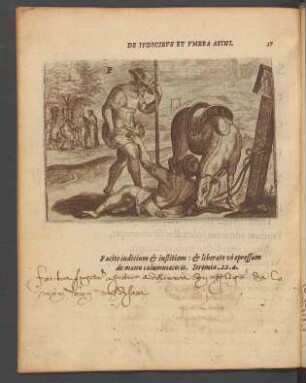 57. De iudicibus et umbra asini.