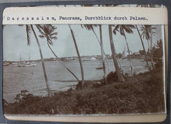 Dar es Salaam, panorama, vue à travers les palmiers