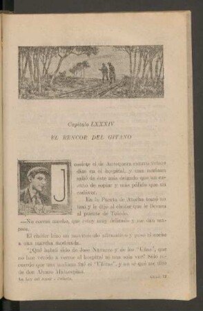 Capítulo LXXXIV - El rencor del gitano