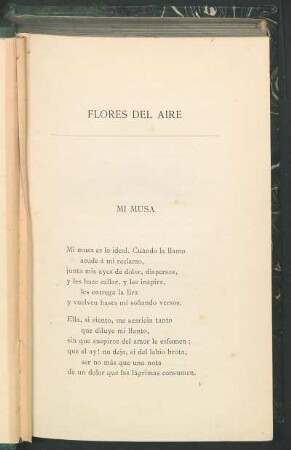 Mi musa