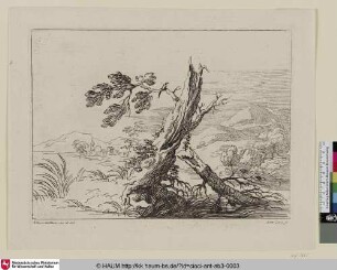 [Landschaft mit altem Baum]