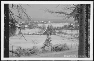 Grillenburg. Grillenburg im Winter