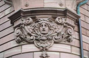 Medusenhaupt
