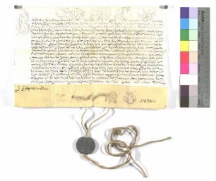 Bulle über die Aufschwörung des Ellwanger Kapitularen Johann Anton Albert von Freyberg.