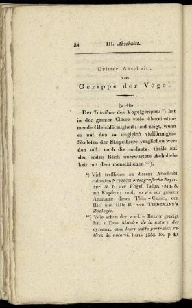 Dritter Abschnitt. Vom Gerippe der Vögel