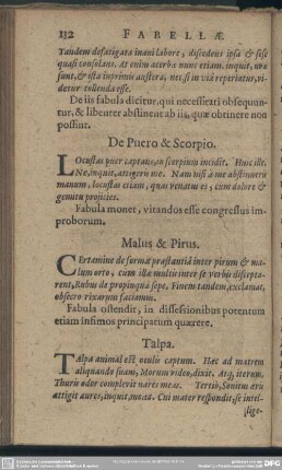 De Puero & Scorpio
