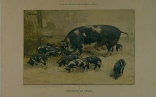 „Tigerschwein mit Ferkeln“