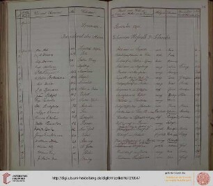 Sommer-Semester 1891