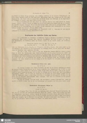 Brachiopoden des Hallstätter Kalkes aus Bosnien