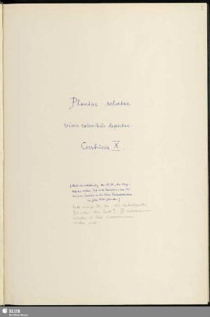 10: Plantae selectae vivis coloribus depictae. Band 10 - Mscr.Dresd.App.3413,Bd.10