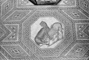 Nennig: Römischer Mosaikfußboden, Ausschnitte