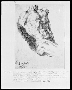 Männlicher Torso