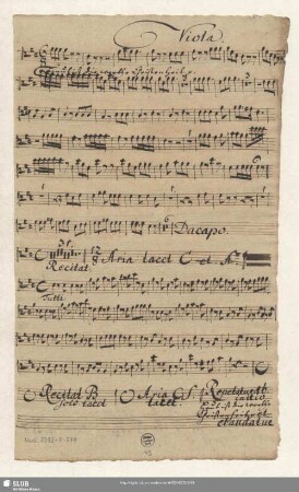 Viola. [transp.]